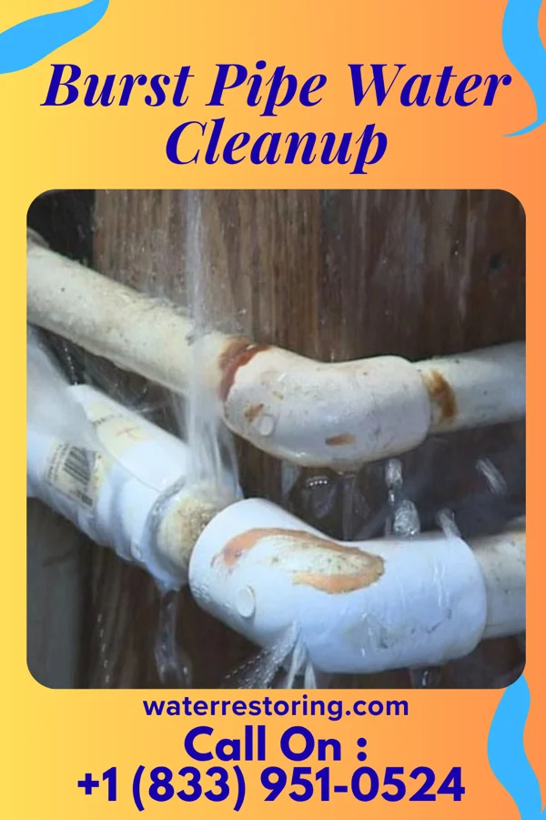 Burst Pipe Water Cleanup in Tripp, SD