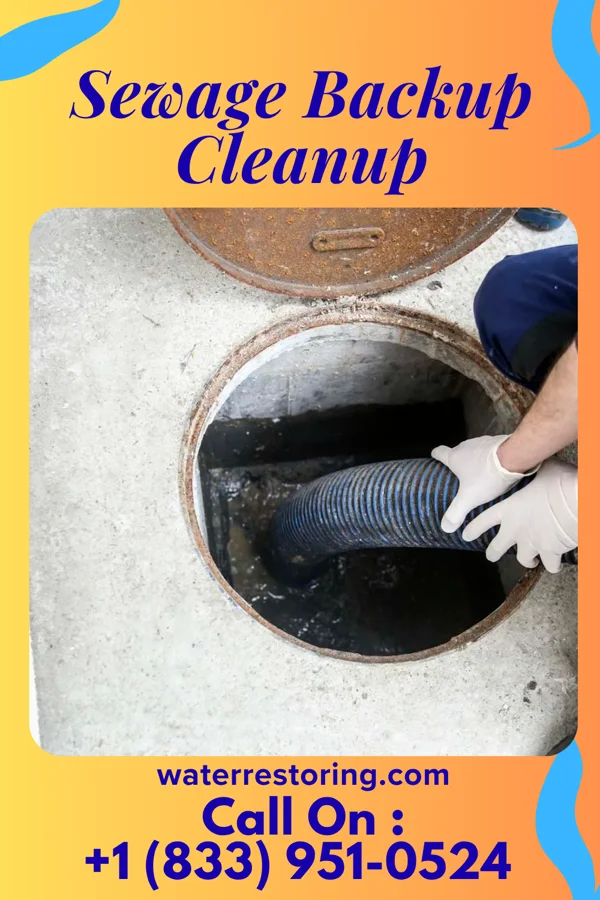 Sewage Backup Cleanup in Tripp, SD
